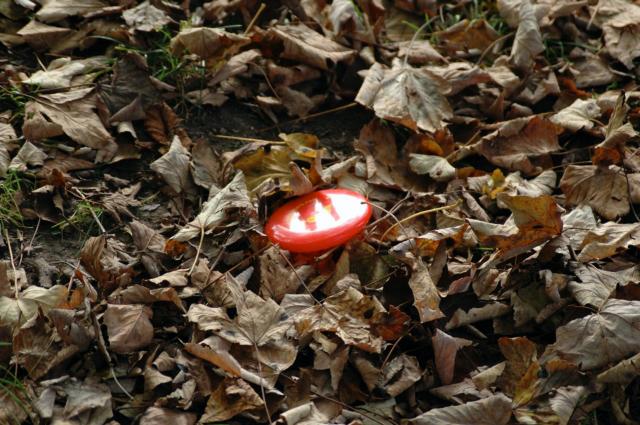 DSC_1383.jpg