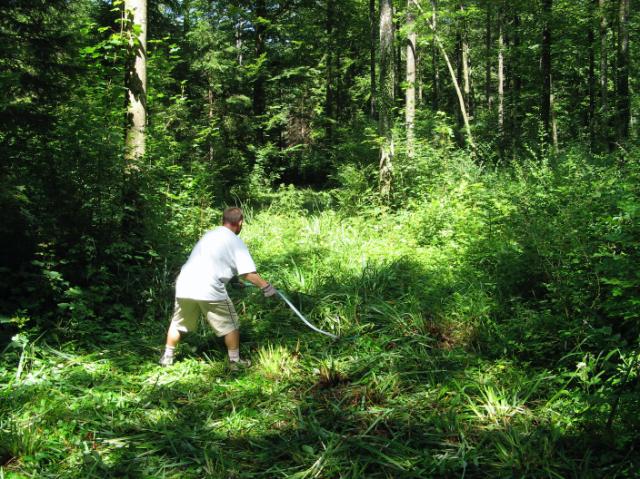 IMG_2002.JPG - Vorbereitungen zum Lochen, um besser an die Greens zu kommen.