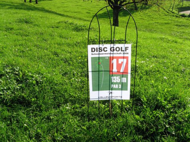 IMG_0057.JPG - ganz leicht bergab (Regelfrage: wo wirft man ab wenn eine Kuh auf dem Tee steht oder liegt?)