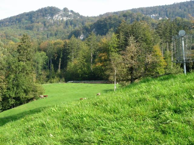 IMG_0059.JPG - Blick zurück zum Tee