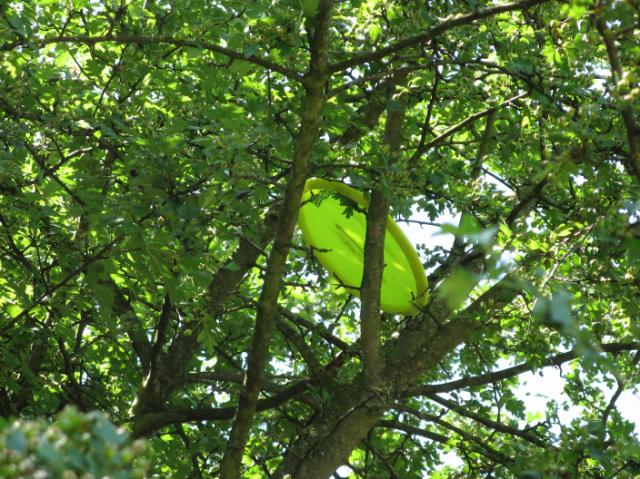 IMG_0093.JPG - holt bitte ein Stein